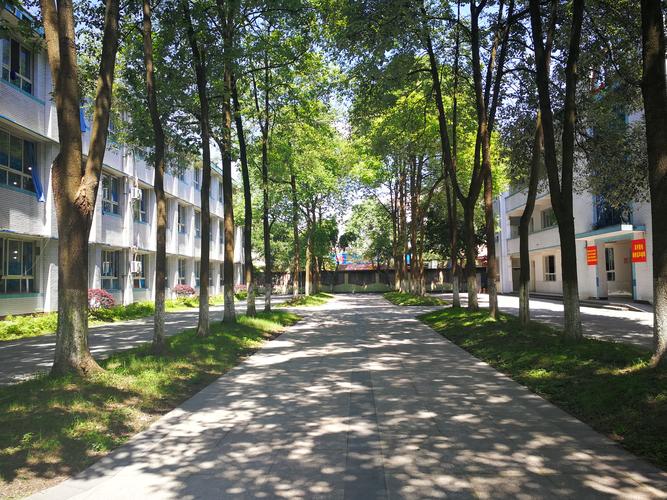 2025年眉山市眉山永寿高中教学质量|师资力量怎么样？
