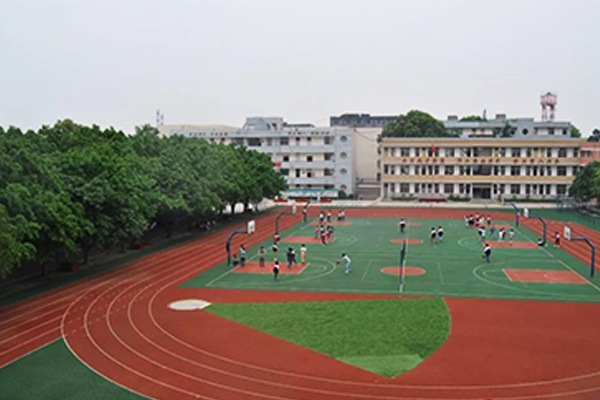 2025年成都市新都泰兴中学招生分数线|录取分数线是多少？