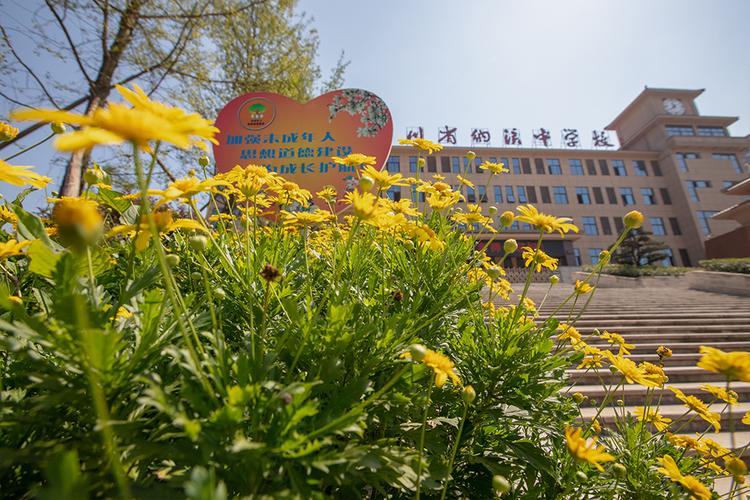 2025年泸州市四川省纳溪中学校近三年的招生分数线|录取分数线是多少